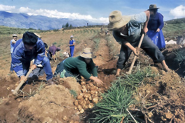 Acciones en Puno