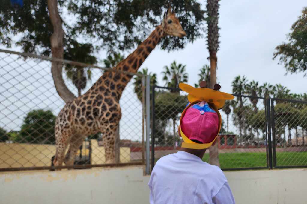 Menor de 11 años cumplió deseo de conocer el Parque de las Leyendas