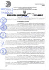 Vista preliminar de documento R.D 01345-2023