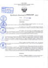 Vista preliminar de documento R.D 01349-2023