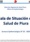 Vista preliminar de documento Sala Situacional Semanal 022-2023