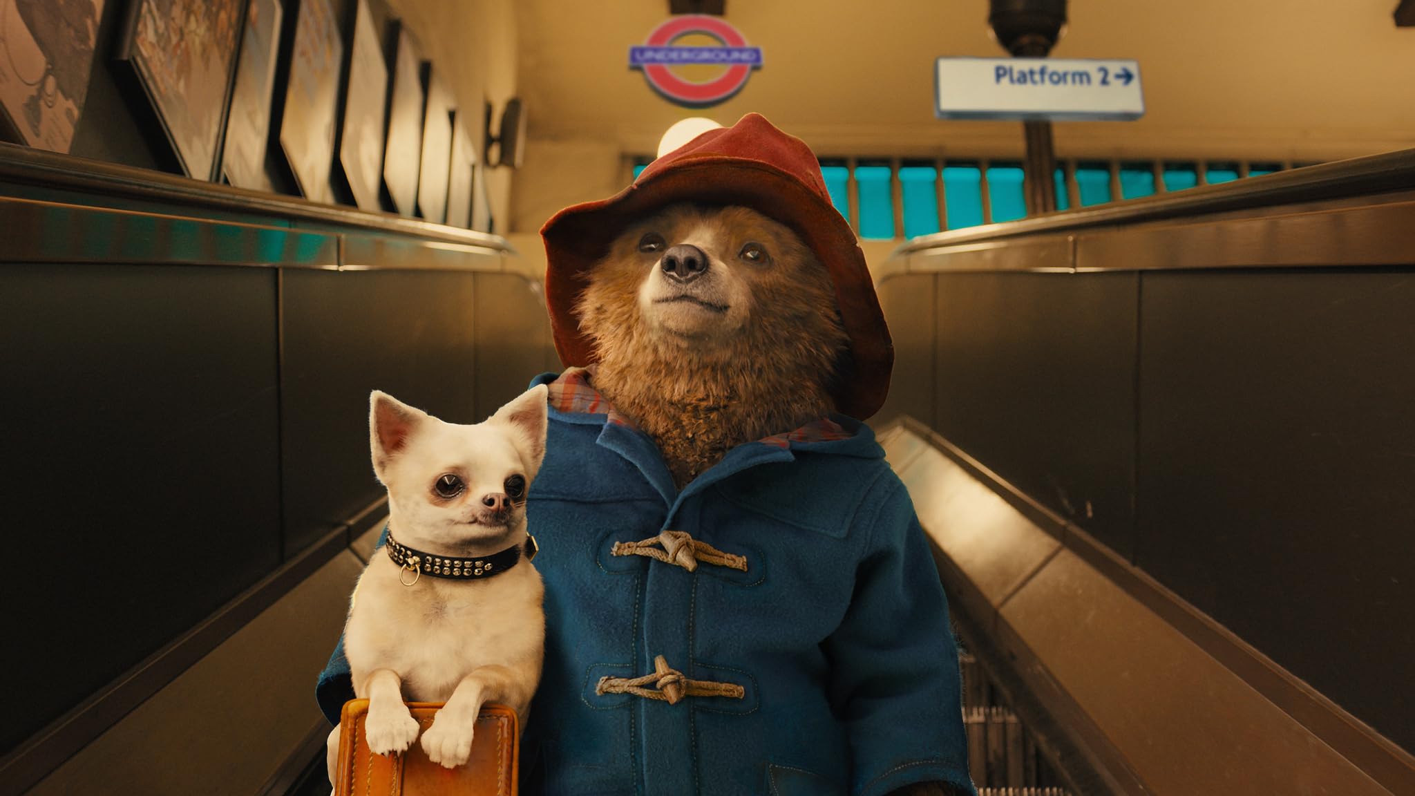 Famosa película “Paddington 3” se filmó en la llaqta de Machupicchu