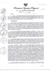 Vista preliminar de documento RE324-2023