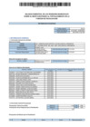 Vista preliminar de documento Balance Semestral de los Regidores Municipales 