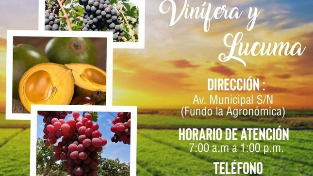 foto de la noticia 