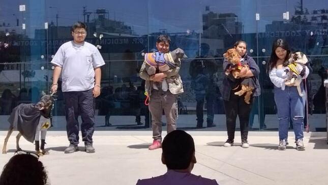 foto de la noticia 