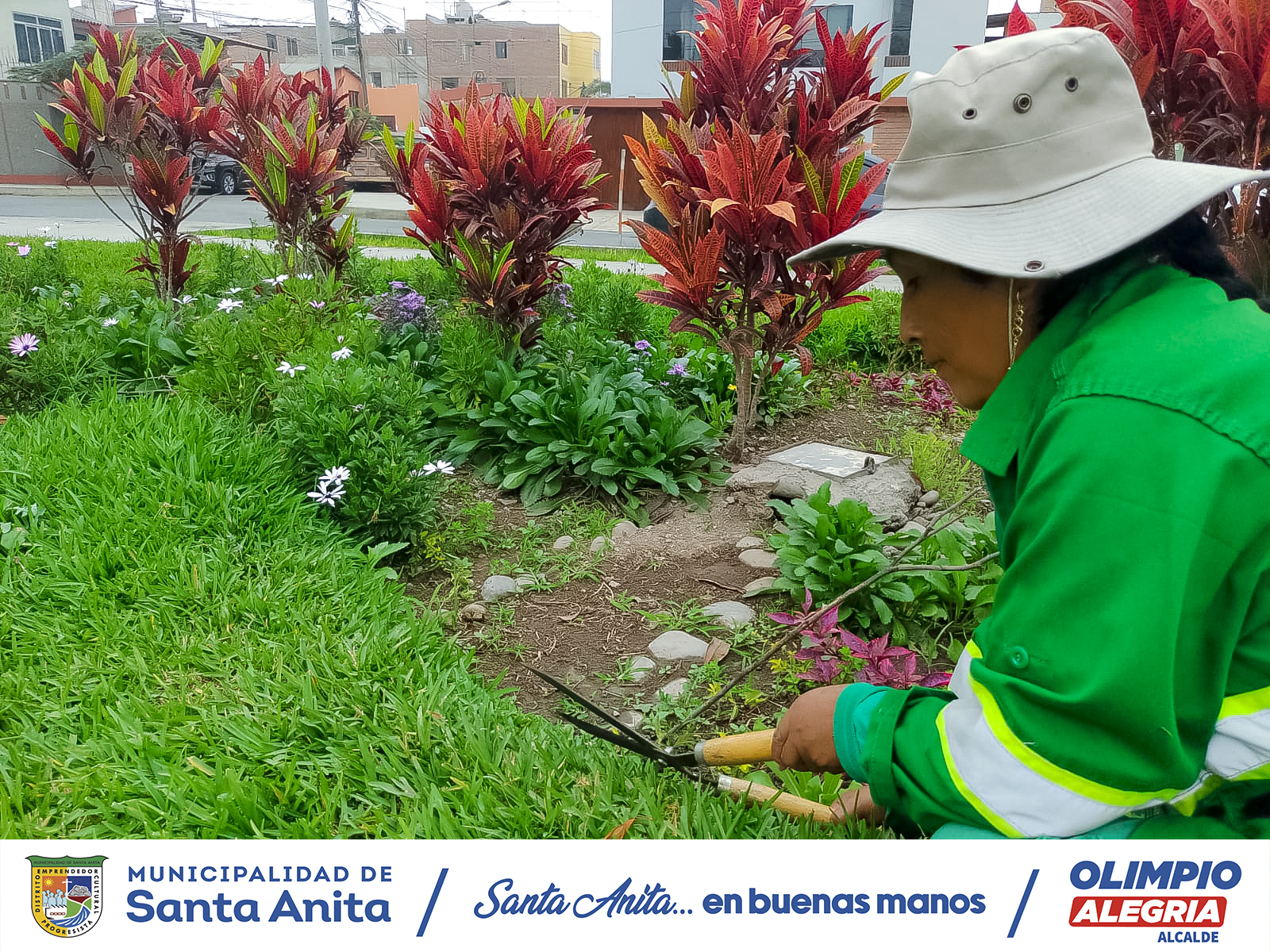 🌳Recuperación y mantenimiento de nuestras áreas verdes 🌳