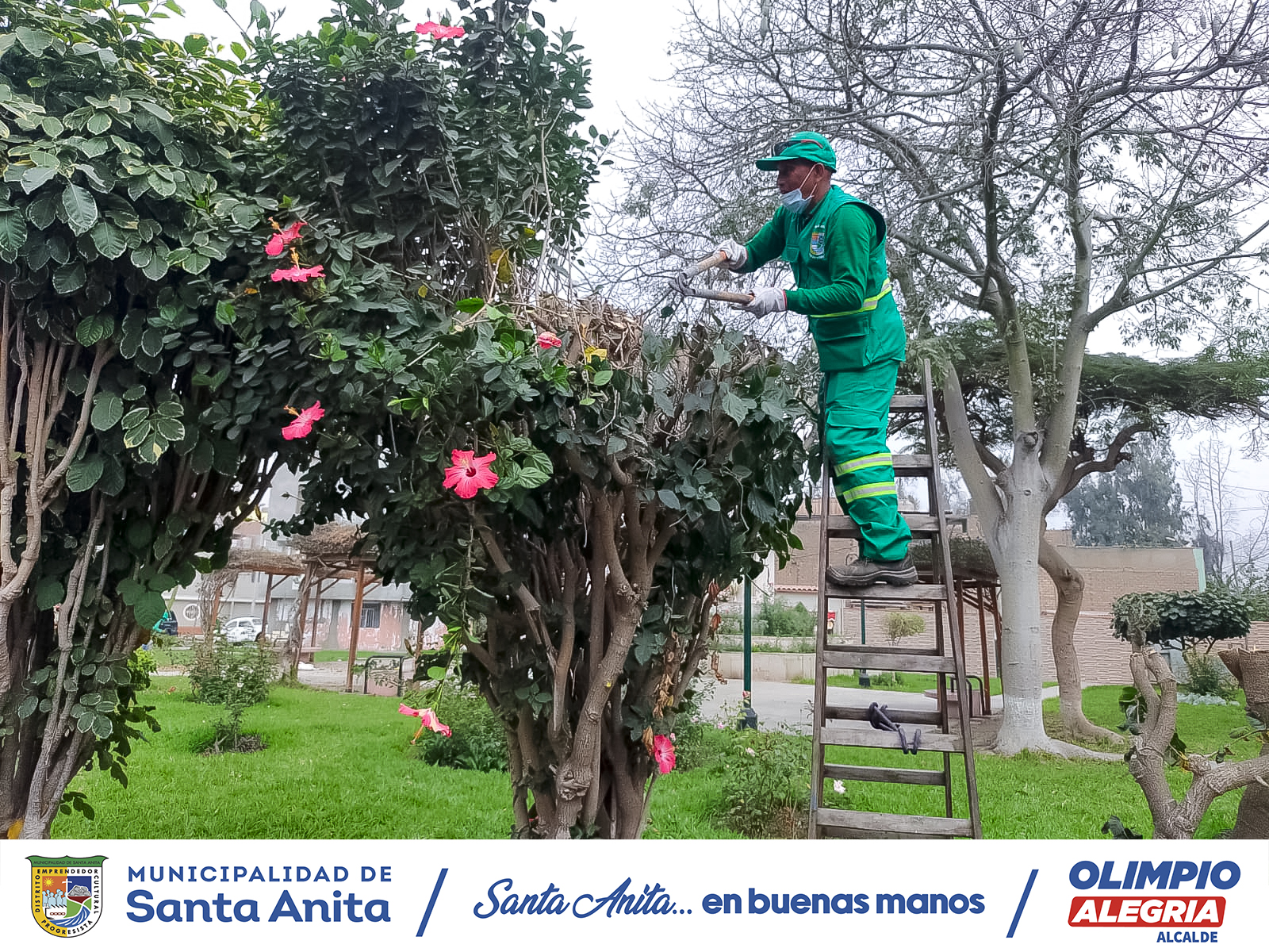 🌳Recuperación y mantenimiento de nuestras áreas verdes 🌳