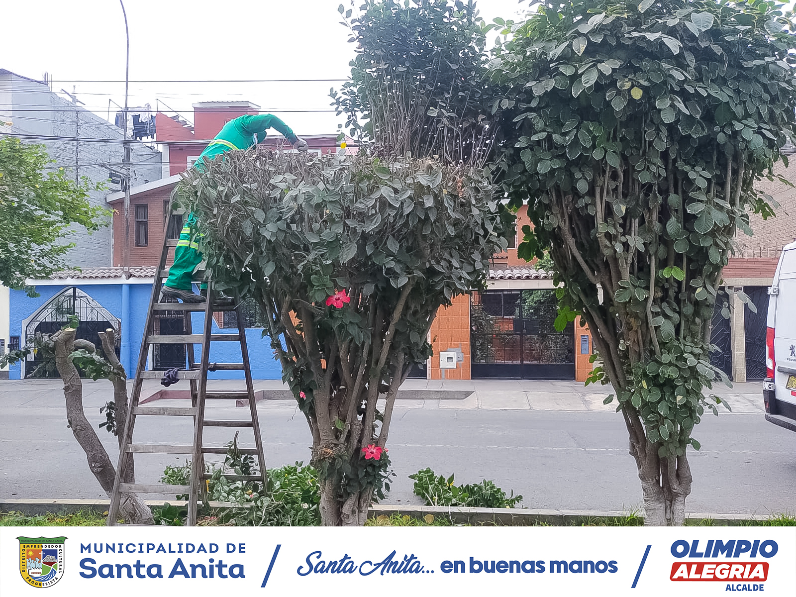 🌳Recuperación y mantenimiento de nuestras áreas verdes 🌳