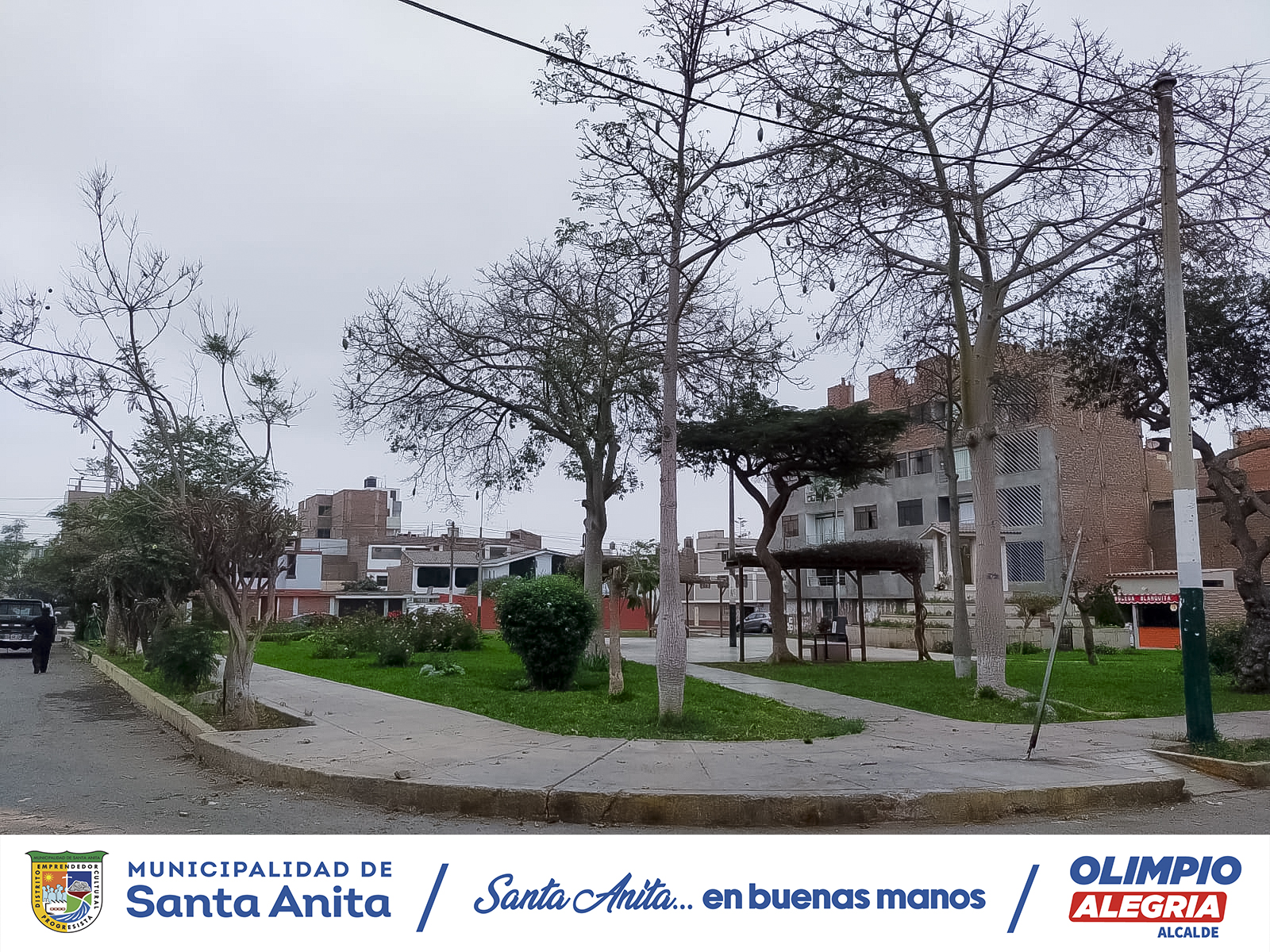 🌳Recuperación y mantenimiento de nuestras áreas verdes 🌳