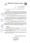 Vista preliminar de documento RGG_0030_2019_GG_PERPG