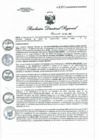 Vista preliminar de documento RDR N° 1303-2022 GOB.REG-HVCA DIRESAFyREc