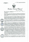 Vista preliminar de documento RDR N° 1323-2022 GOB.REG-HVCA DIRESAfXYid