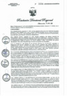Vista preliminar de documento RDR N° 1334-2022 GOB.REG-HVCA DIRESARdRNh