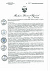 Vista preliminar de documento RDR N° 1377-2022 GOB.REG-HVCA DIRESANAavh