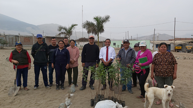 Reforestación