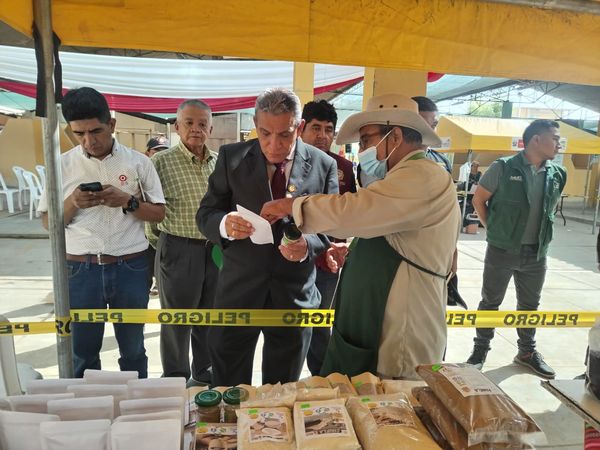 INAUGURAN PRIMER MERCADO ITINERANTE DE LA CHACRA A LA OLLA Y A COMER PESCADO 2023