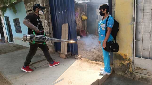 Geresa Lambayeque programa fumigación y control larvario contra el dengue en Chiclayo