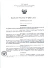 Vista preliminar de documento RD- 2453