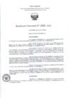 Vista preliminar de documento RD- 2456