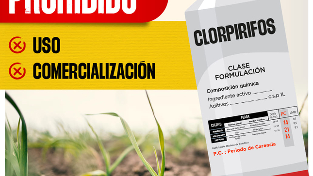 Prohíben uso agrícola de clorpirifos para reducir riesgos en la salud
