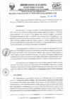 Vista preliminar de documento RD- 2461