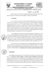 Vista preliminar de documento RD- 2466