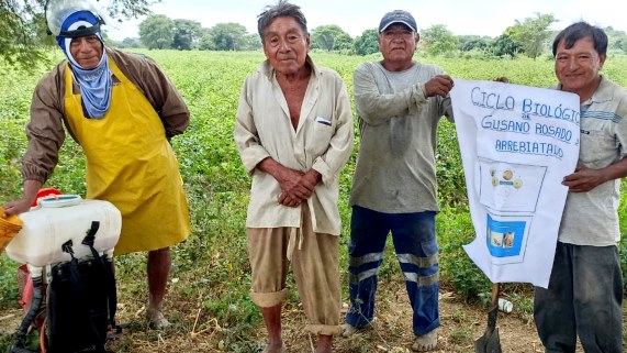 GORE Piura elabora plan de contingencia para proteger a agricultores ante el FEN