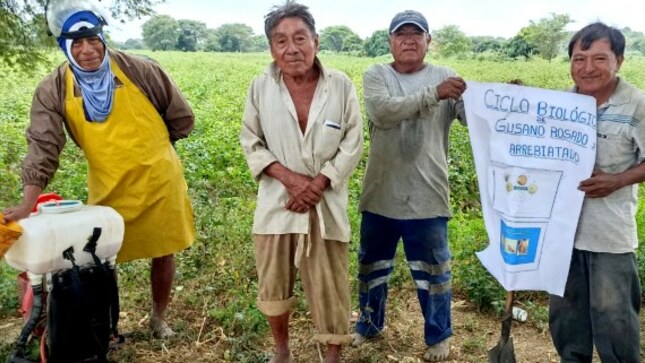 GORE Piura elabora plan de contingencia para proteger a agricultores ante el FEN