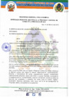 Vista preliminar de documento ORDENANZA MUNICIPAL Nº 006-2019-MPA-A