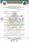 Vista preliminar de documento ORDENANZA MUNICIPAL Nº 007-2019-MPA-A