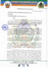 Vista preliminar de documento ORDENANZA MUNICIPAL Nº 009-2019-MPA-A