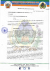Vista preliminar de documento ORDENANZA MUNICIPAL Nº 010-2019-MPA-A