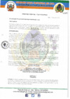 Vista preliminar de documento ORDENANZA MUNICIPAL Nº 015-2019-MPA-A