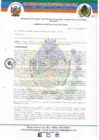 Vista preliminar de documento ORDENANZA MUNICIPAL Nº 018-2019-MPA-A