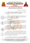 Vista preliminar de documento R.A-N-194-2023-MDPN-F