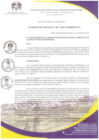 Vista preliminar de documento N° 003-2023-CM-MDSDO-PH