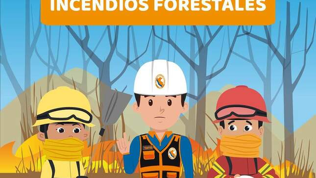 Incendios Forestales registrados en diferentes regiones en los últimos días.