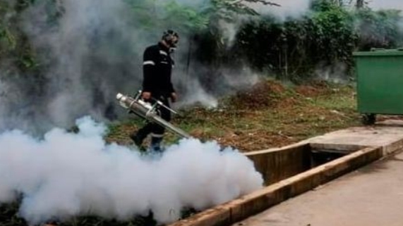 DENGUE