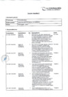 Vista preliminar de documento Formato Apéndice 2