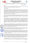 Vista preliminar de documento Resolución Ejecutiva RegionalByqNE