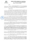 Vista preliminar de documento RGR GRRNGMA N° 024-2023