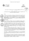 Vista preliminar de documento RGAPI_N°057-2023