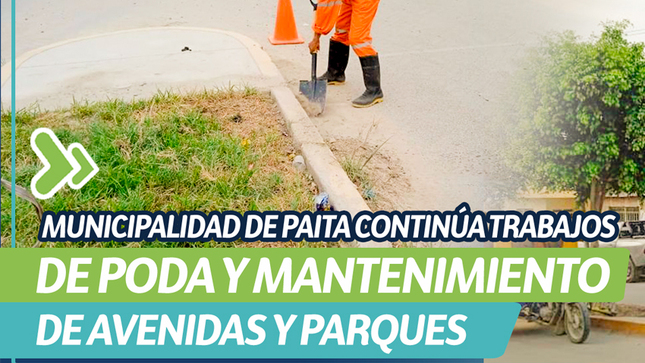 Trabajos de poda y mantenimiento 