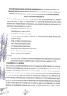 Vista preliminar de documento Acta de Subsanación del Proceso de Nombramiento