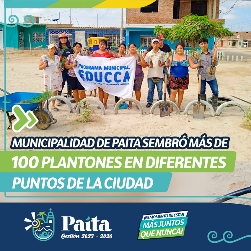 Municipalidad de Paita sembró más de 100 plantones