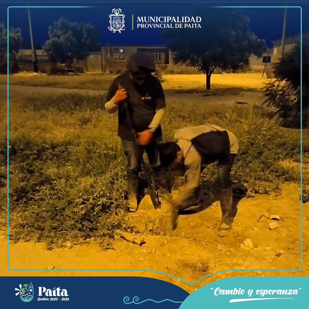 Municipalidad de Paita sembró más de 100 plantones