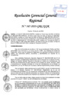 Vista preliminar de documento RGGR 167-2023-GRL-GGR
