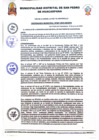 Vista preliminar de documento Ordenanza Municipal Desarrollo de Audiencia