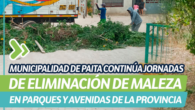 Municipalidad de Paita continúa jornadas de eliminación de maleza